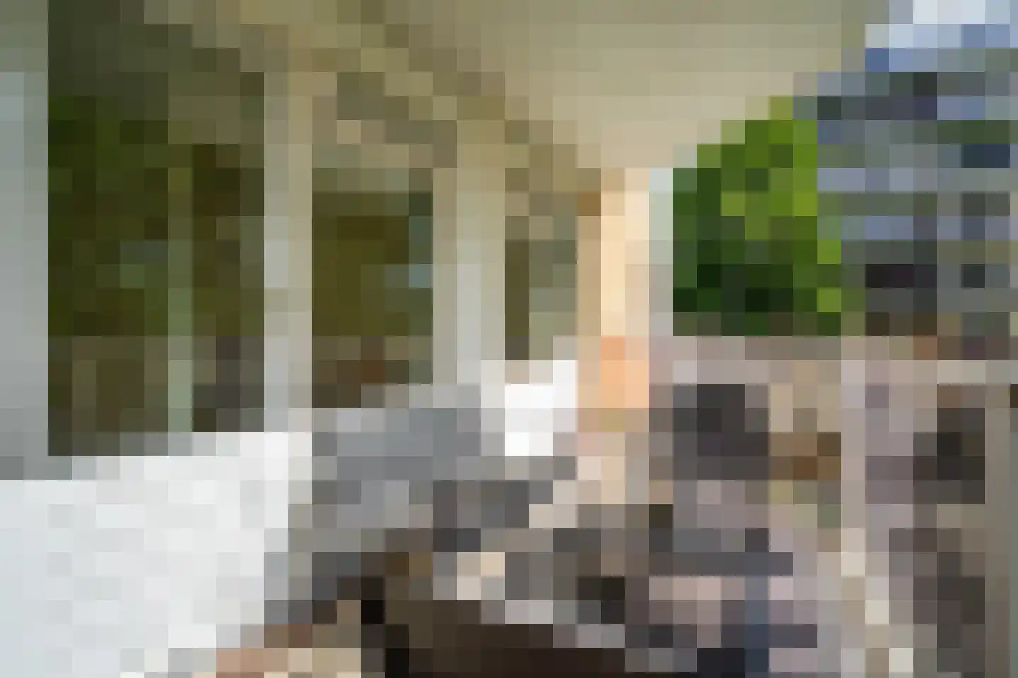 Klepel 404 Emmen thumbnail 16