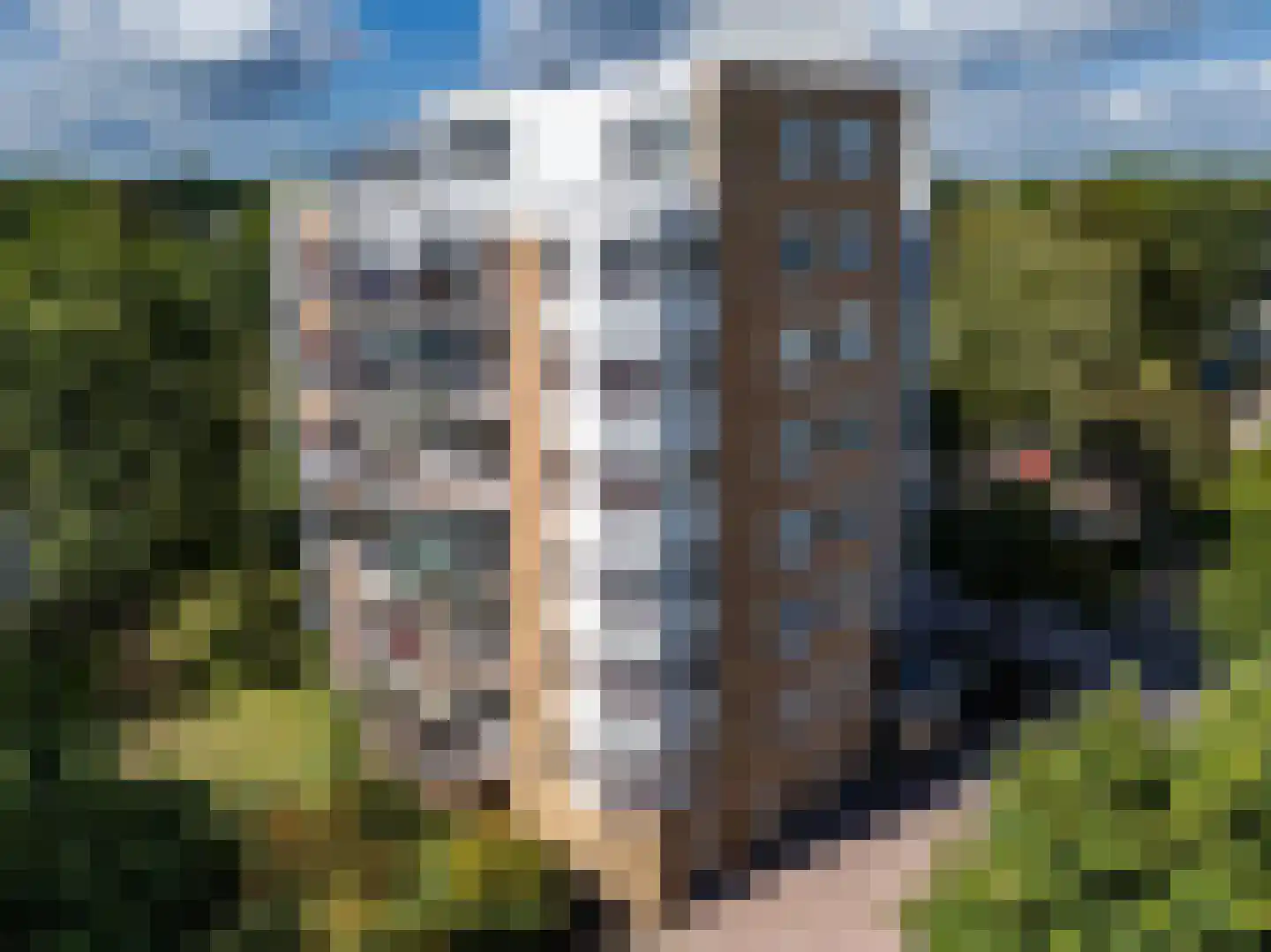 Klepel 404 Emmen foto 3