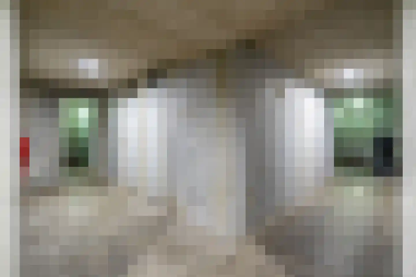 Klepel 404 Emmen thumbnail 37