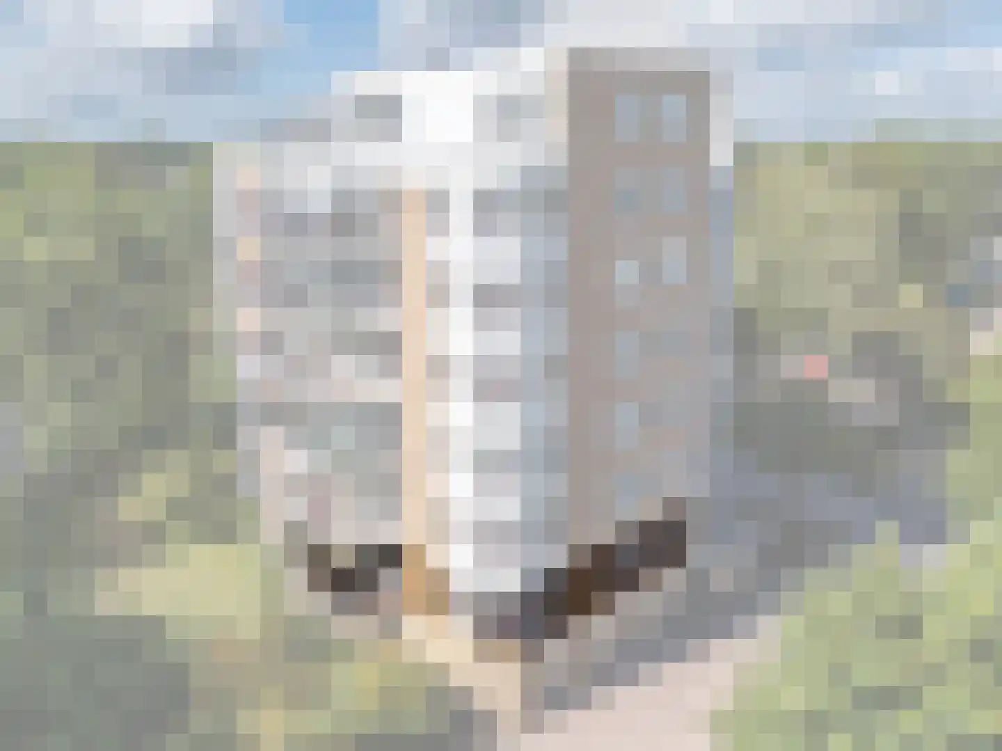 Klepel 404 Emmen thumbnail 49