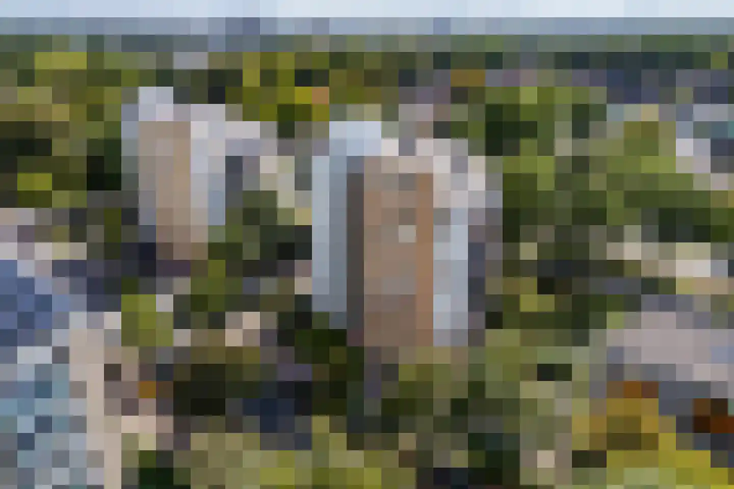 Klepel 404 Emmen thumbnail 52