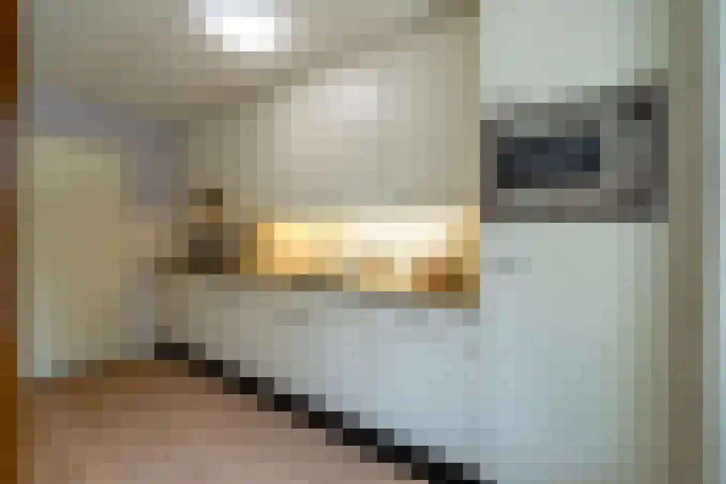 Klepel 408 Emmen thumbnail 10