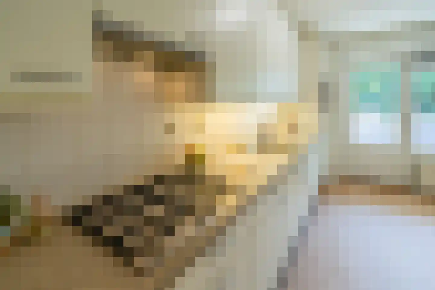 Klepel 408 Emmen thumbnail 12