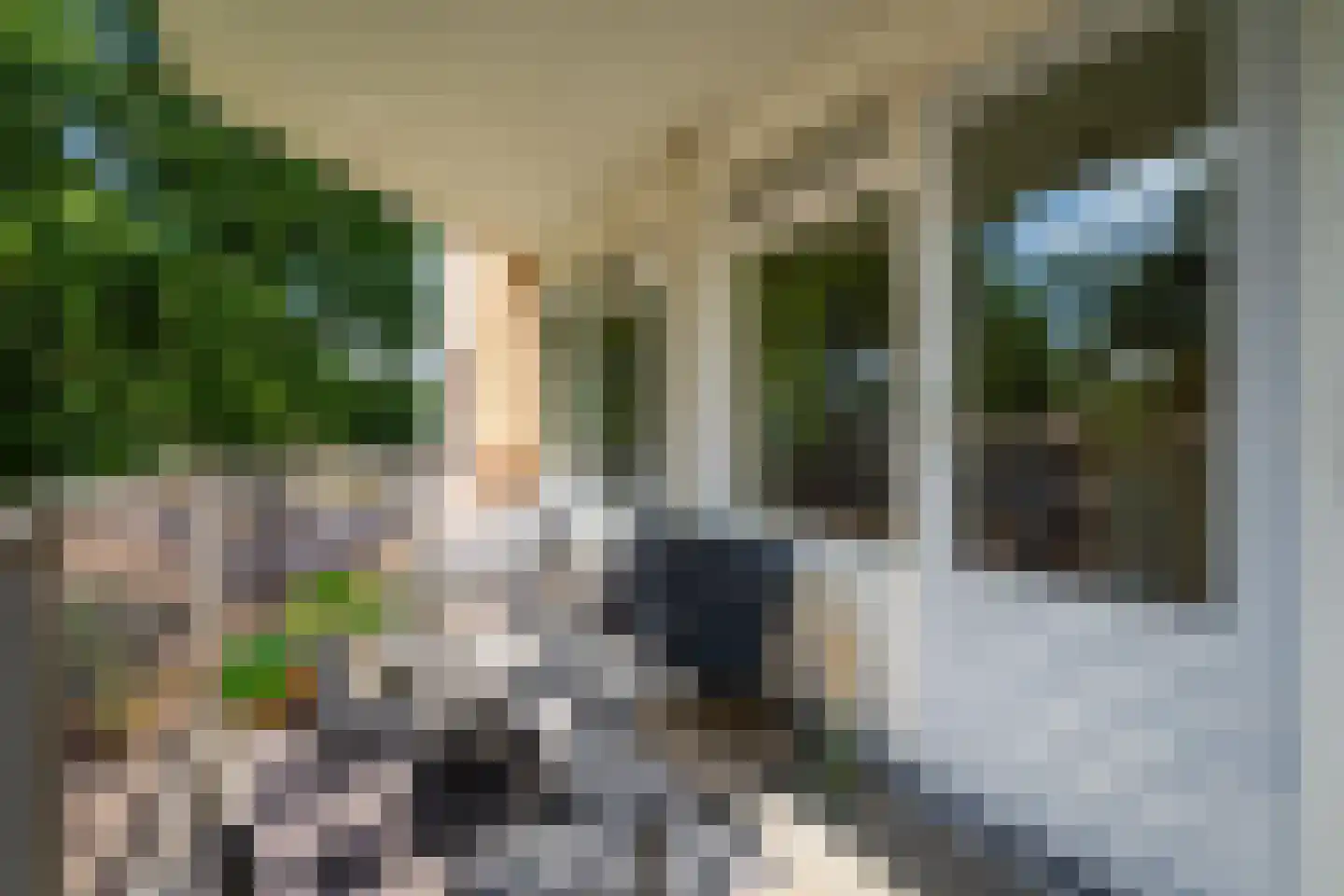 Klepel 408 Emmen thumbnail 16