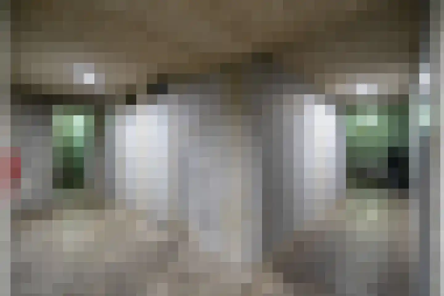 Klepel 408 Emmen thumbnail 39