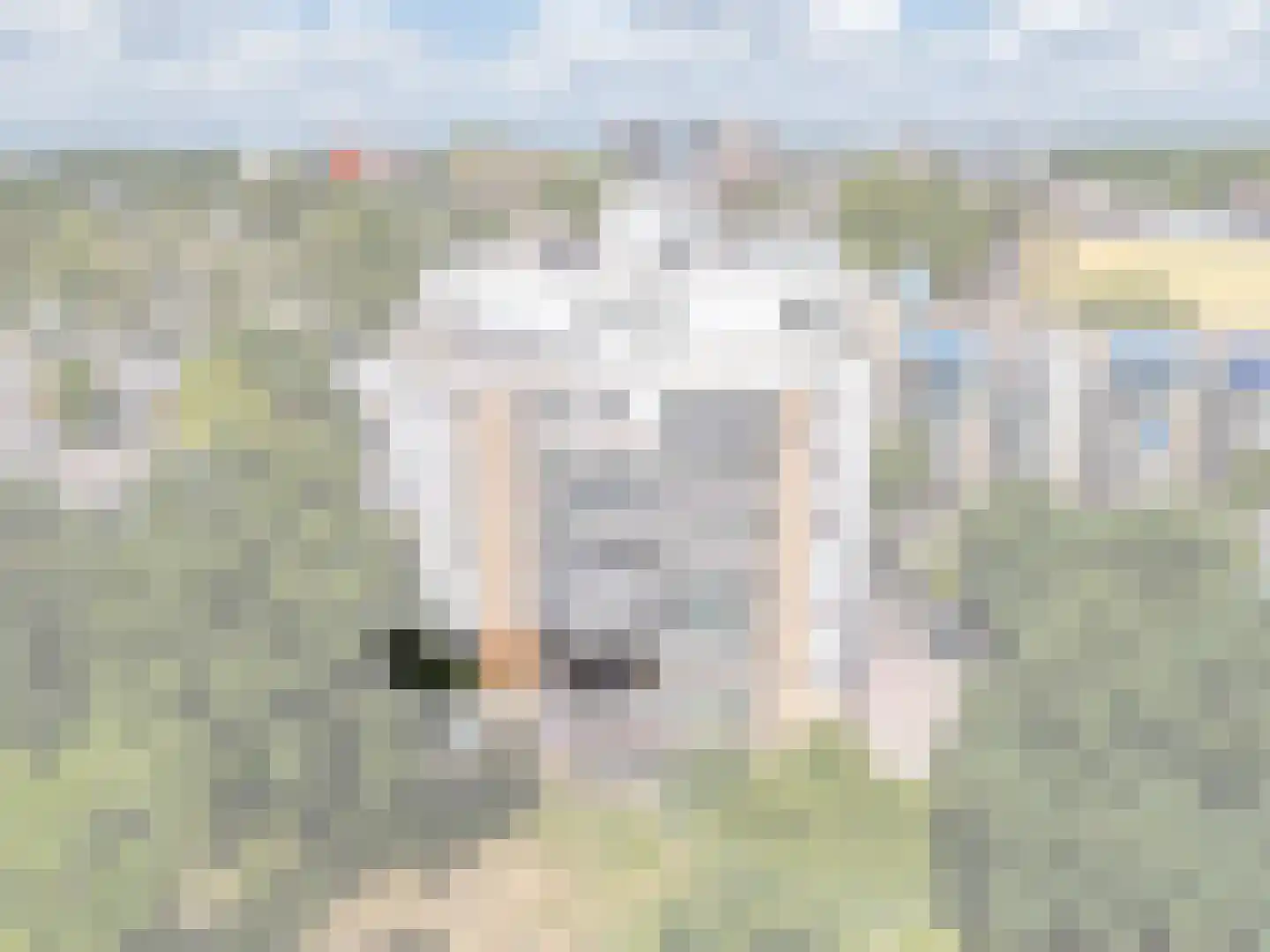 Klepel 408 Emmen thumbnail 47