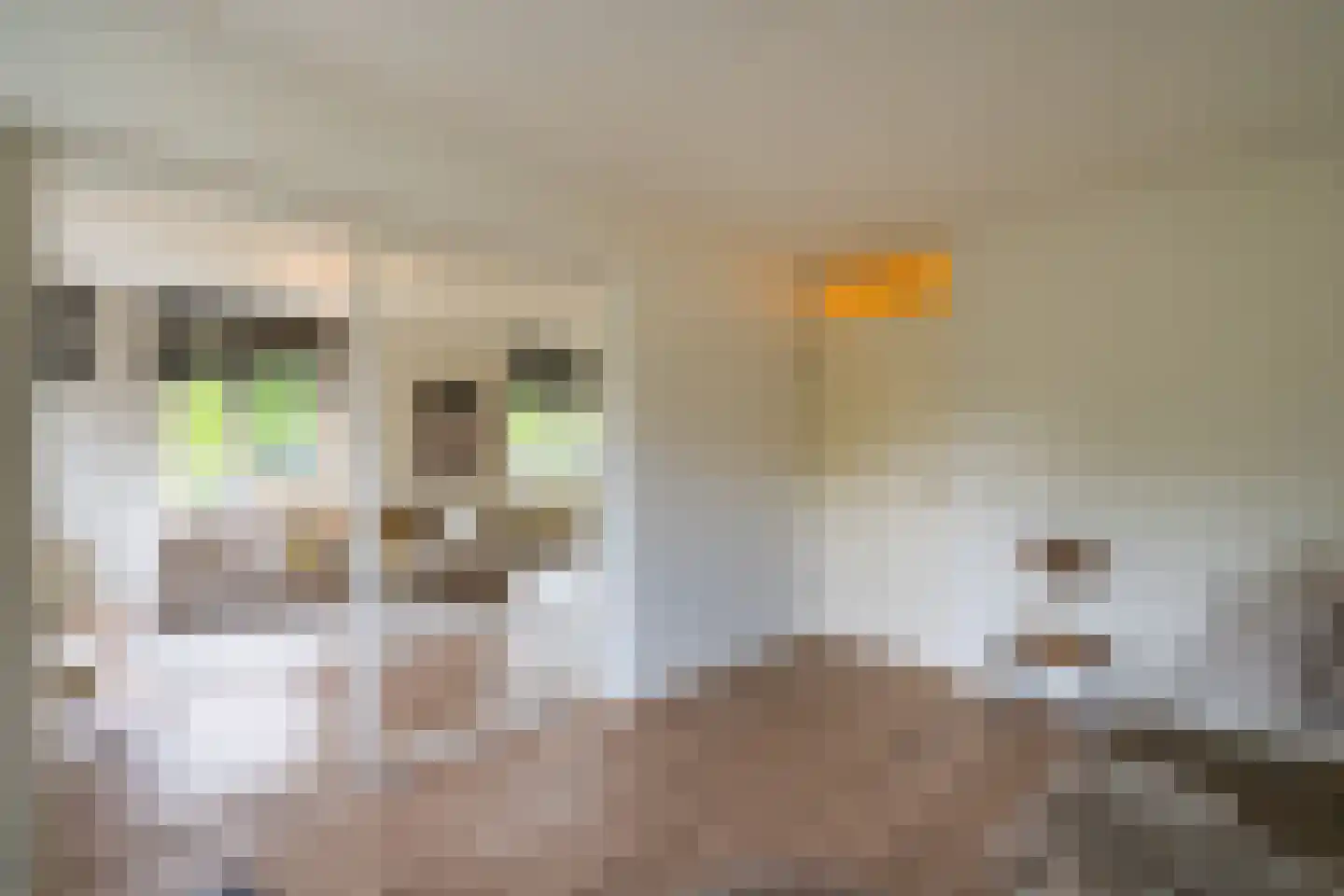 Klepel 410 Emmen thumbnail 22