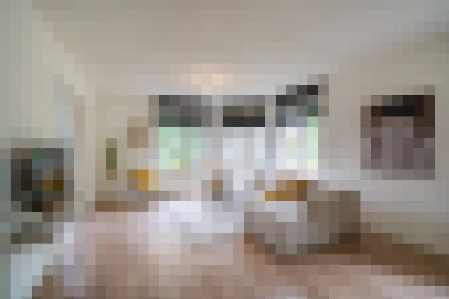 Klepel 410 Emmen thumbnail 4