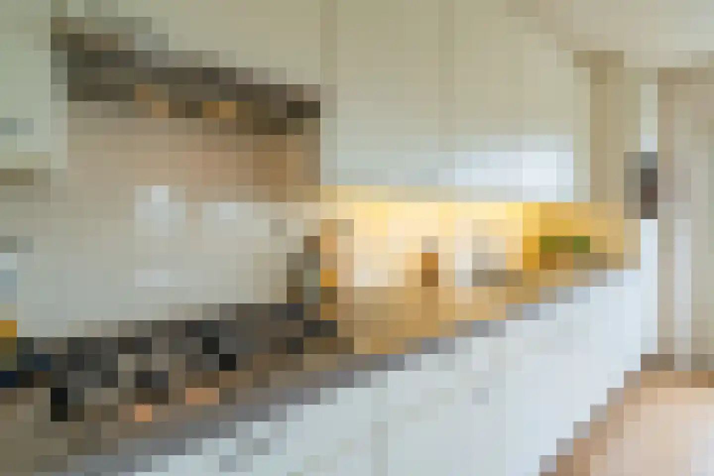 Klepel 432 Emmen thumbnail 10