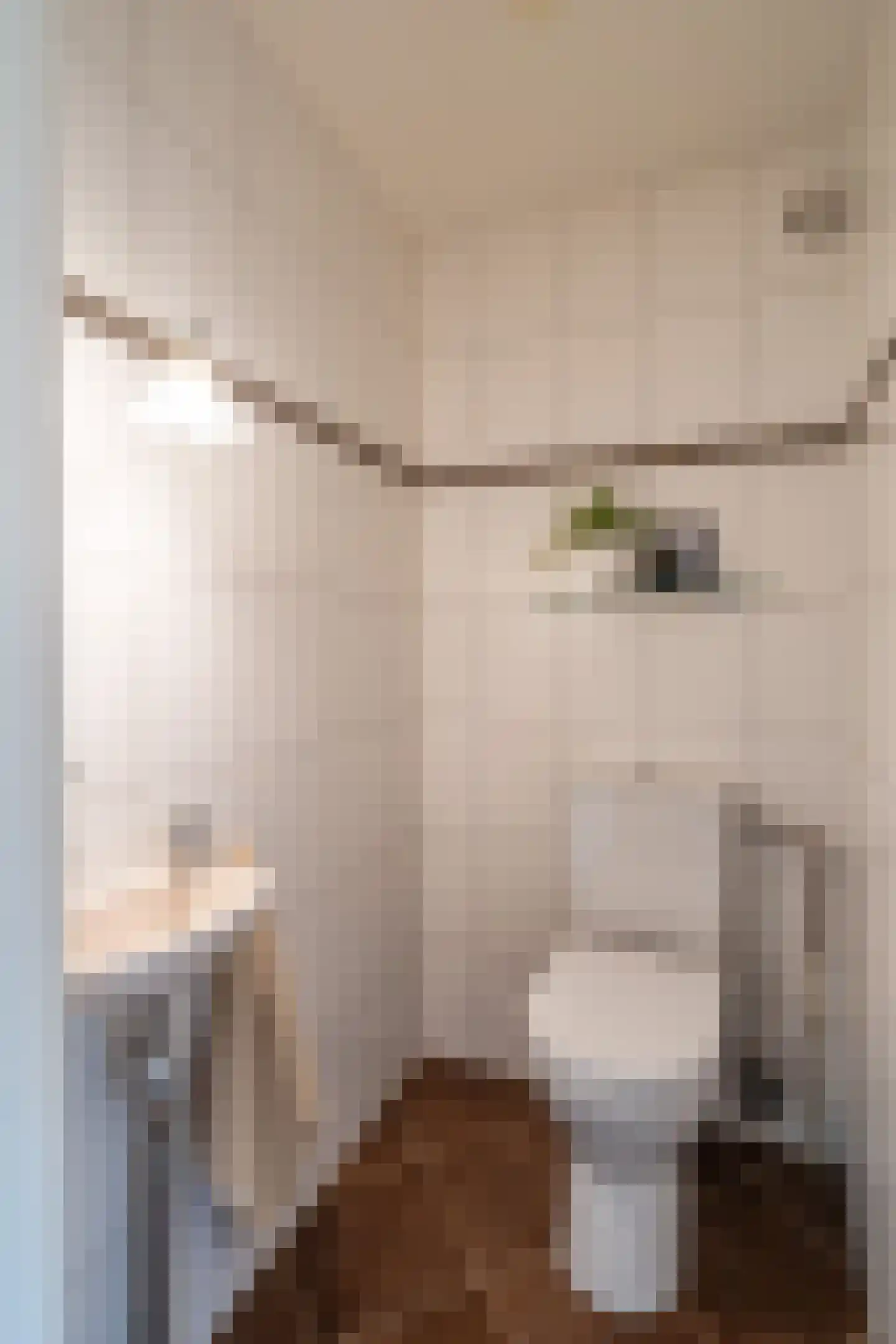 Klepel 432 Emmen thumbnail 30