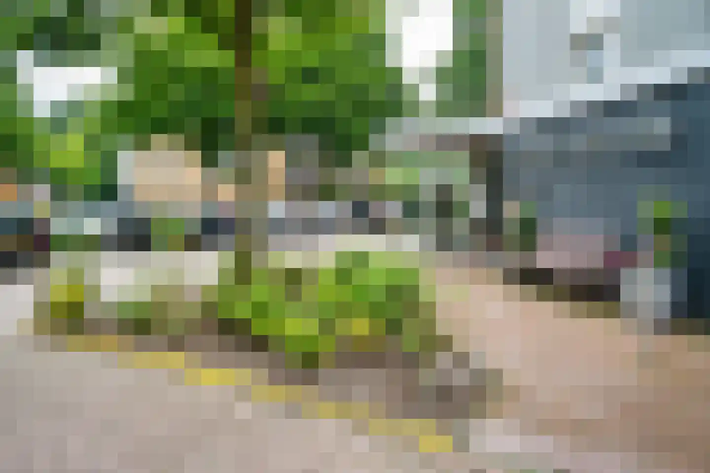 Klepel 432 Emmen thumbnail 43