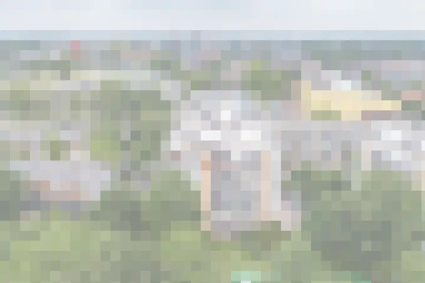 Klepel 432 Emmen thumbnail 48