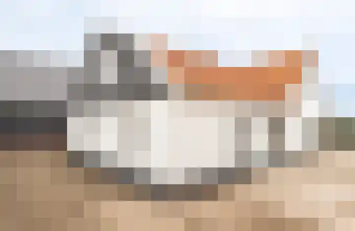 Klepel 9 Geldermalsen thumbnail 4
