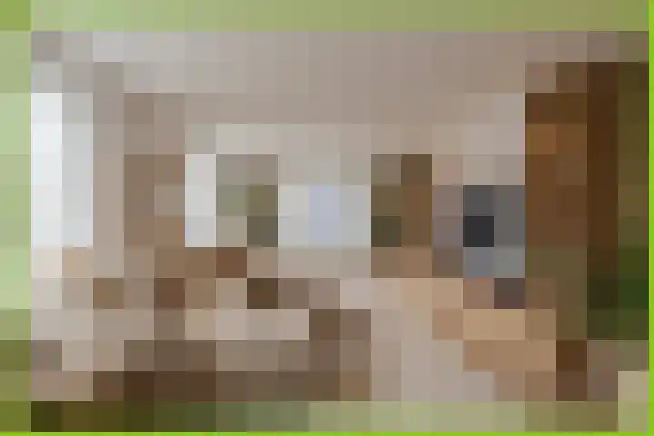 Klepel 9 Geldermalsen thumbnail 5