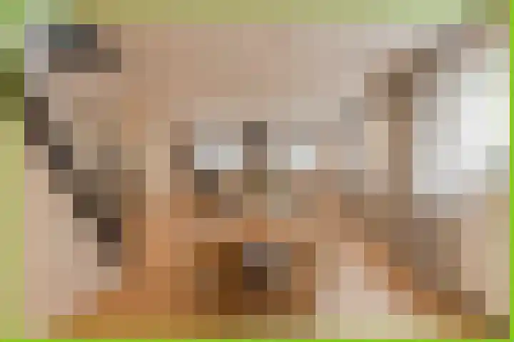 Klepel 9 Geldermalsen thumbnail 8