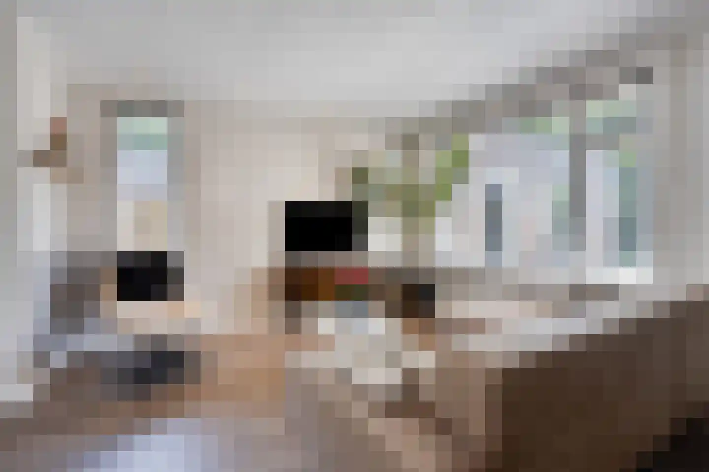 Klepelstraat 15 Nuland thumbnail 7