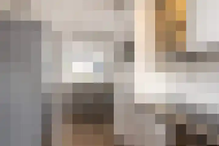 Klepperdans 49 Capelle aan den IJssel thumbnail 16