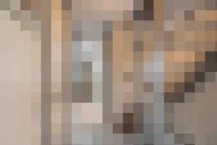 Klepperdans 49 Capelle aan den IJssel thumbnail 29