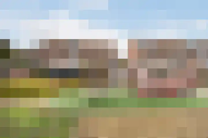Klepperdans 49 Capelle aan den IJssel thumbnail 39