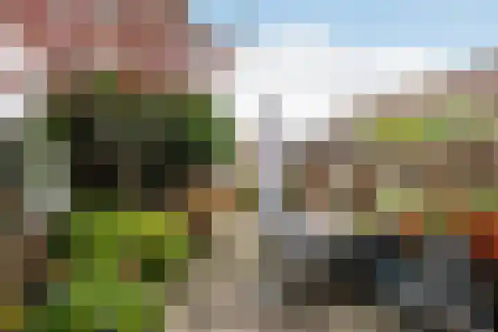 Klepperdans 49 Capelle aan den IJssel thumbnail 4
