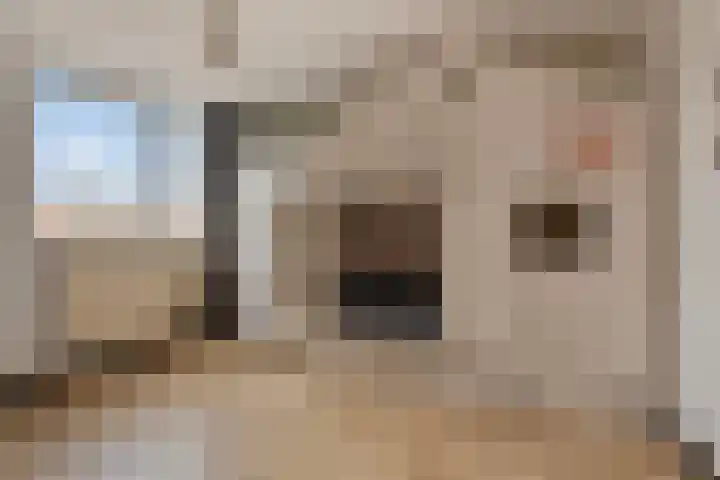 Klepperen 9 Best thumbnail 34