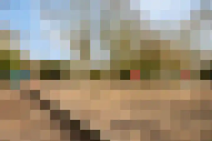 Klepperen 9 Best thumbnail 50
