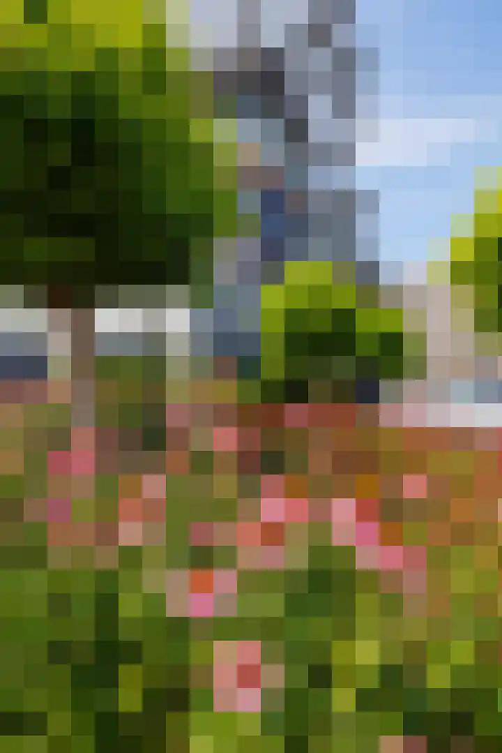 Klepperheide 3 B Druten thumbnail 40