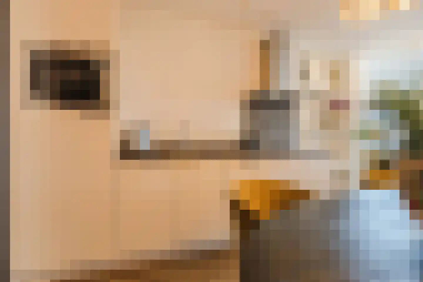 Klepperheide 5 G Druten thumbnail 34