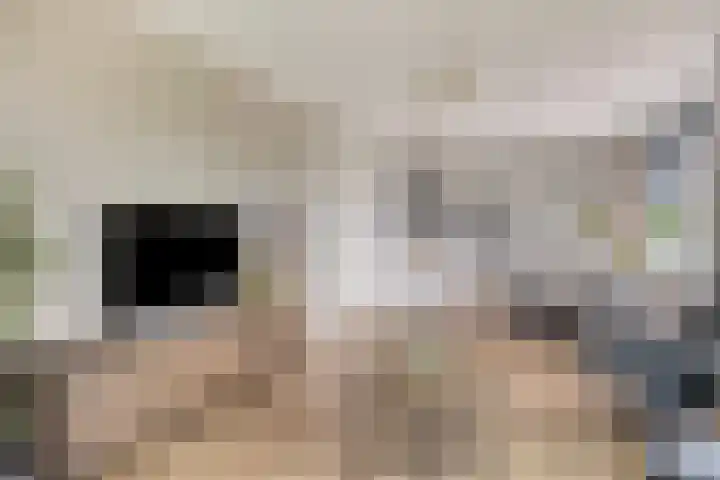 Klepperheide 5 H Druten thumbnail 10