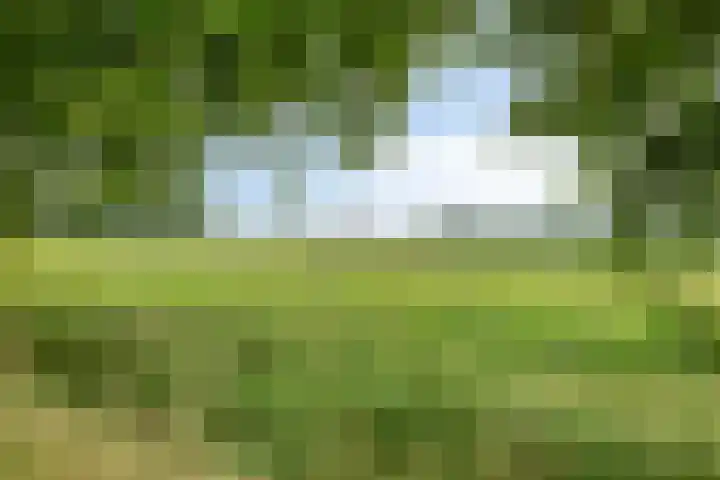 Klepperheide 5 H Druten thumbnail 23