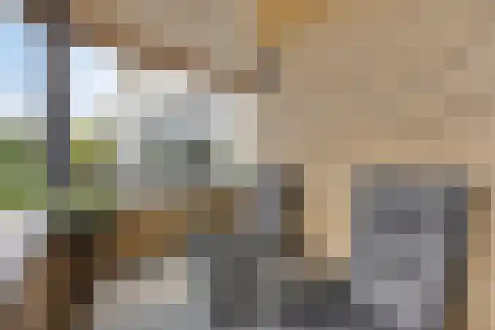 Klepperheide 5 H Druten thumbnail 4