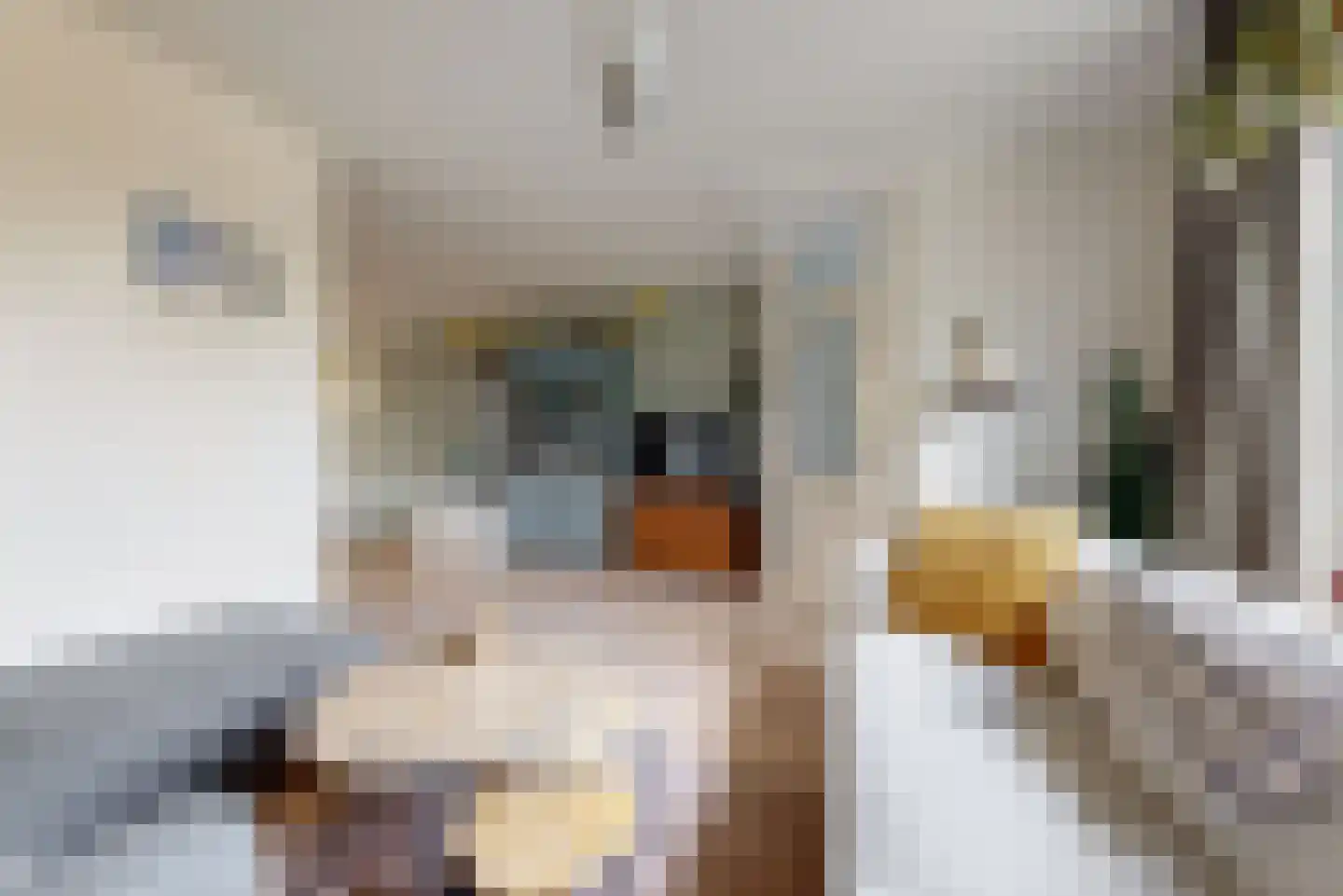 Klepperman 24 Alphen aan den Rijn thumbnail 8