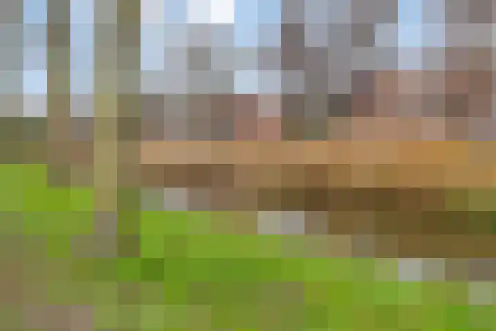 Klepperman 38 Alphen aan den Rijn thumbnail 35
