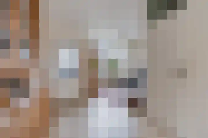 Klepperman 38 Alphen aan den Rijn thumbnail 8