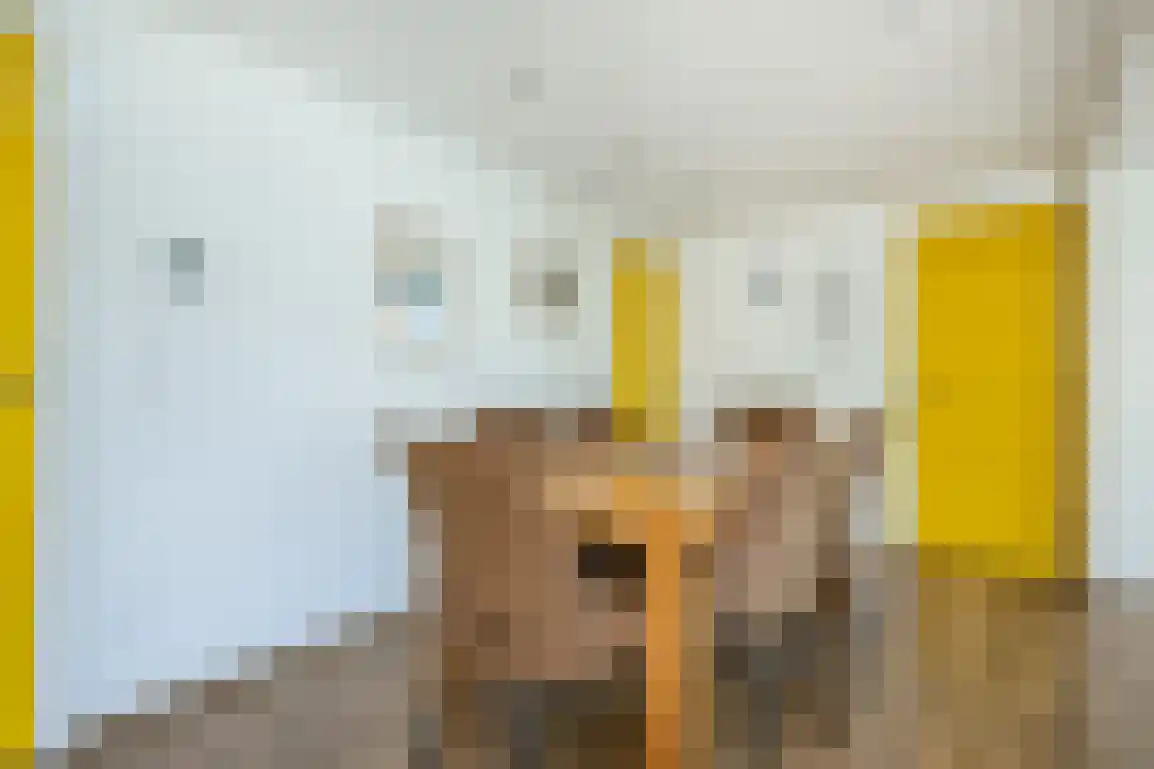 Klepperstee-Berk 16 Ouddorp thumbnail 15