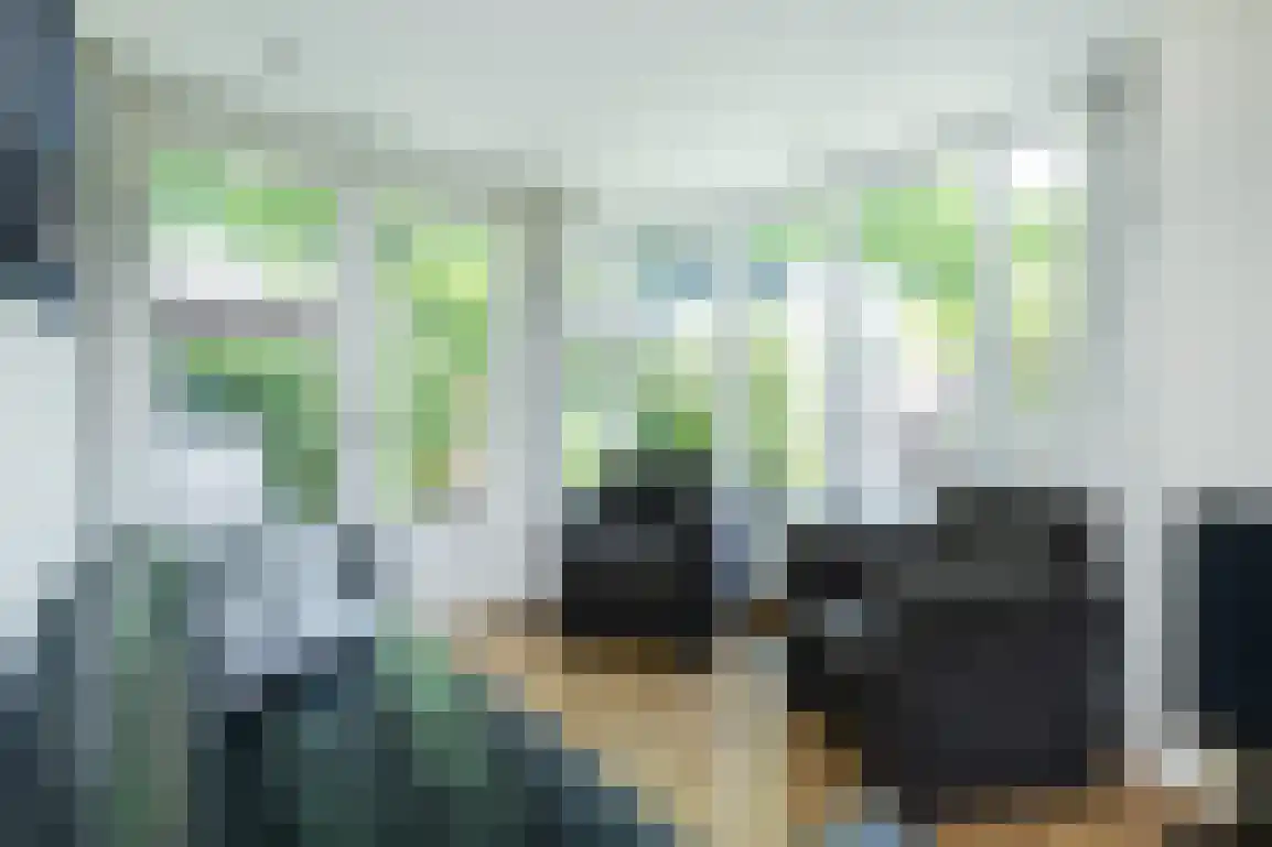 Klepperstee-Berk 16 Ouddorp thumbnail 18