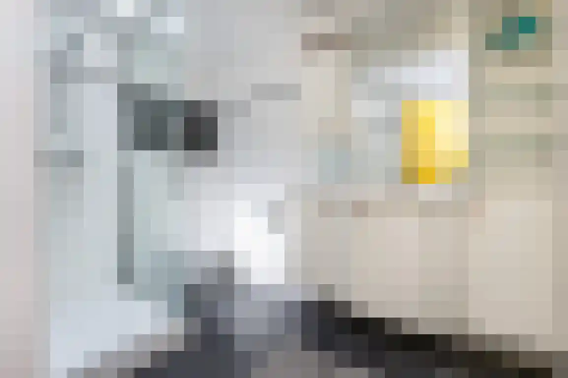 Klepperstee-Berk 16 Ouddorp thumbnail 21