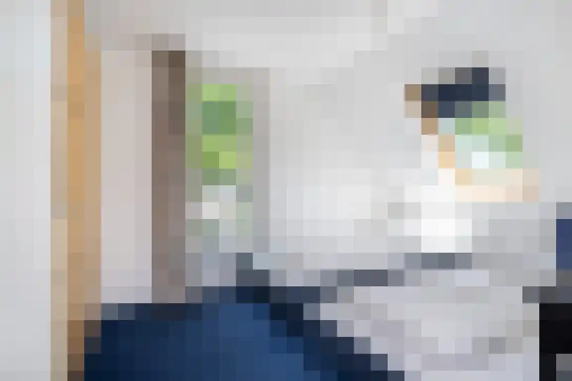 Klepperstee-Berk 16 Ouddorp thumbnail 27