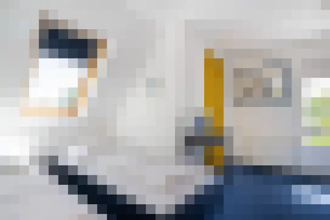 Klepperstee-Berk 16 Ouddorp thumbnail 28