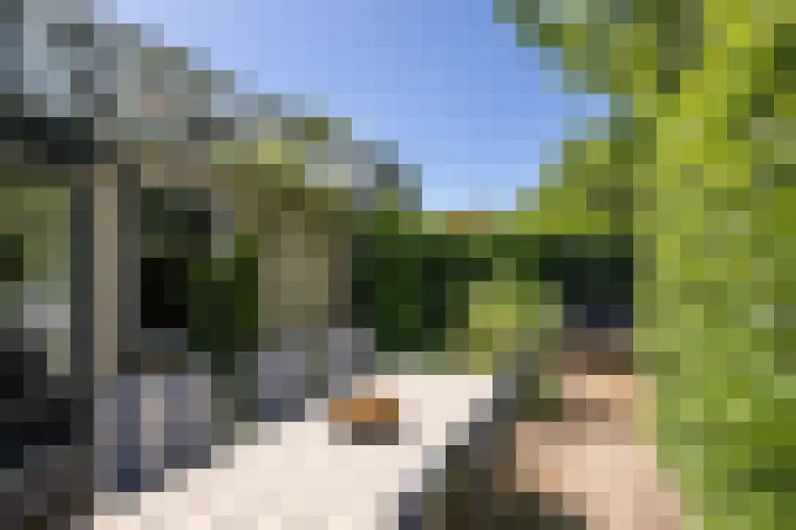 Klepperstee-Berk 16 Ouddorp thumbnail 32