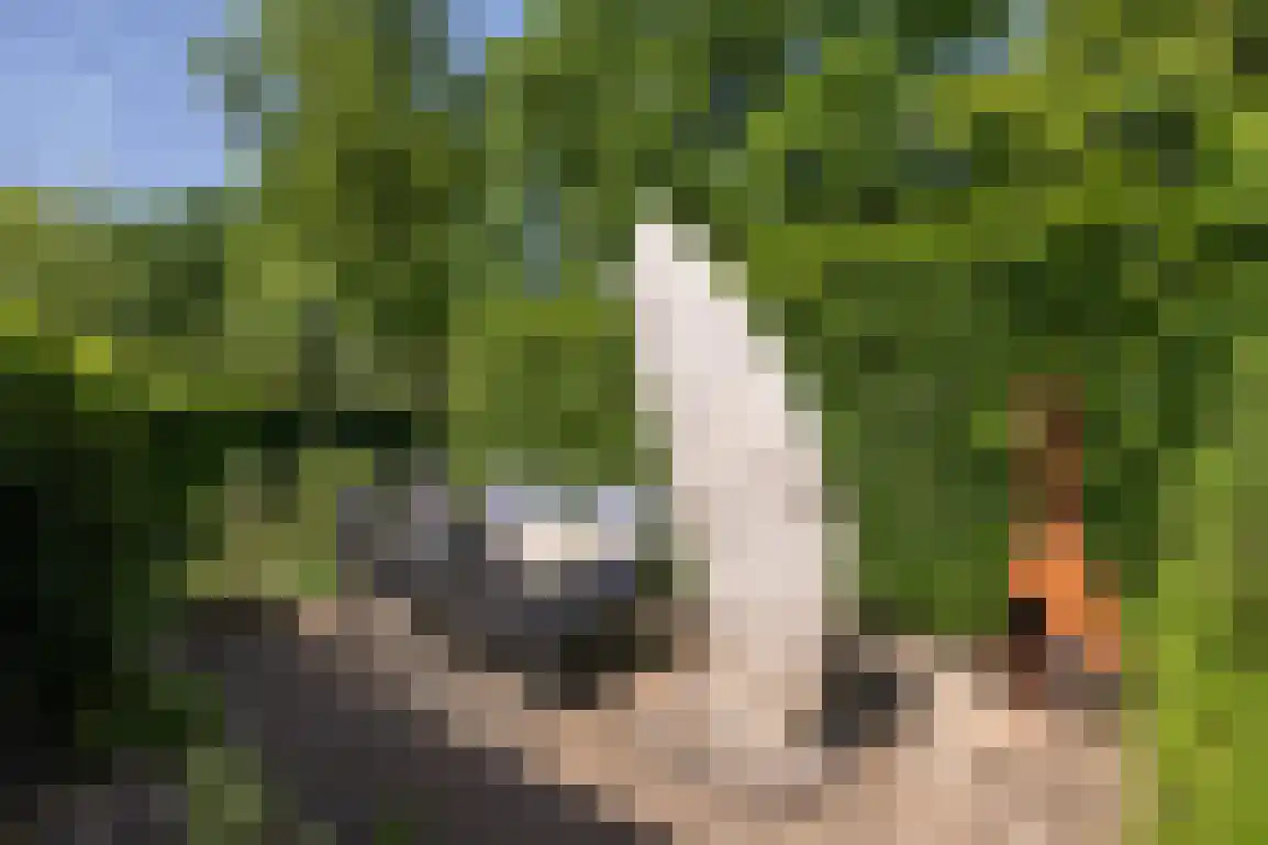 Klepperstee-Berk 16 Ouddorp thumbnail 33