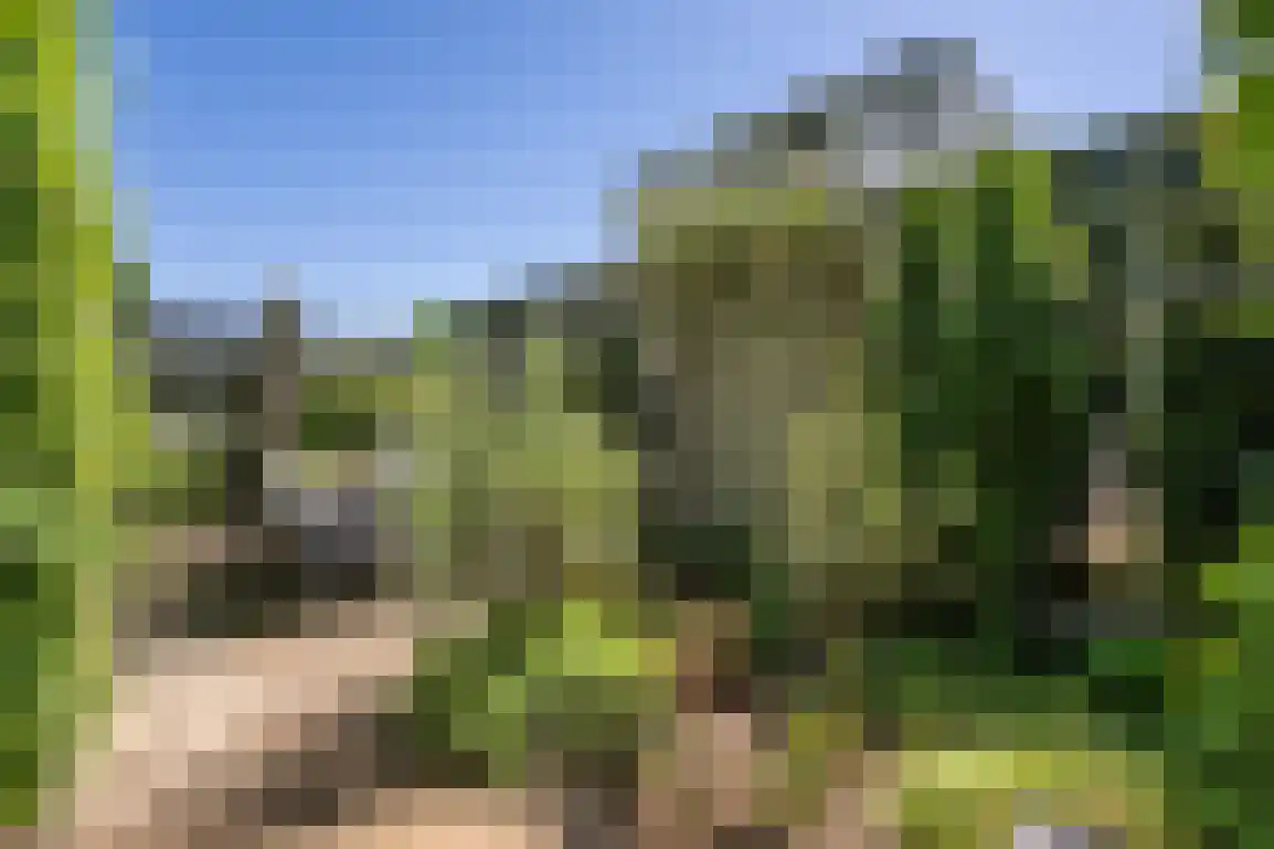 Klepperstee-Berk 16 Ouddorp thumbnail 34