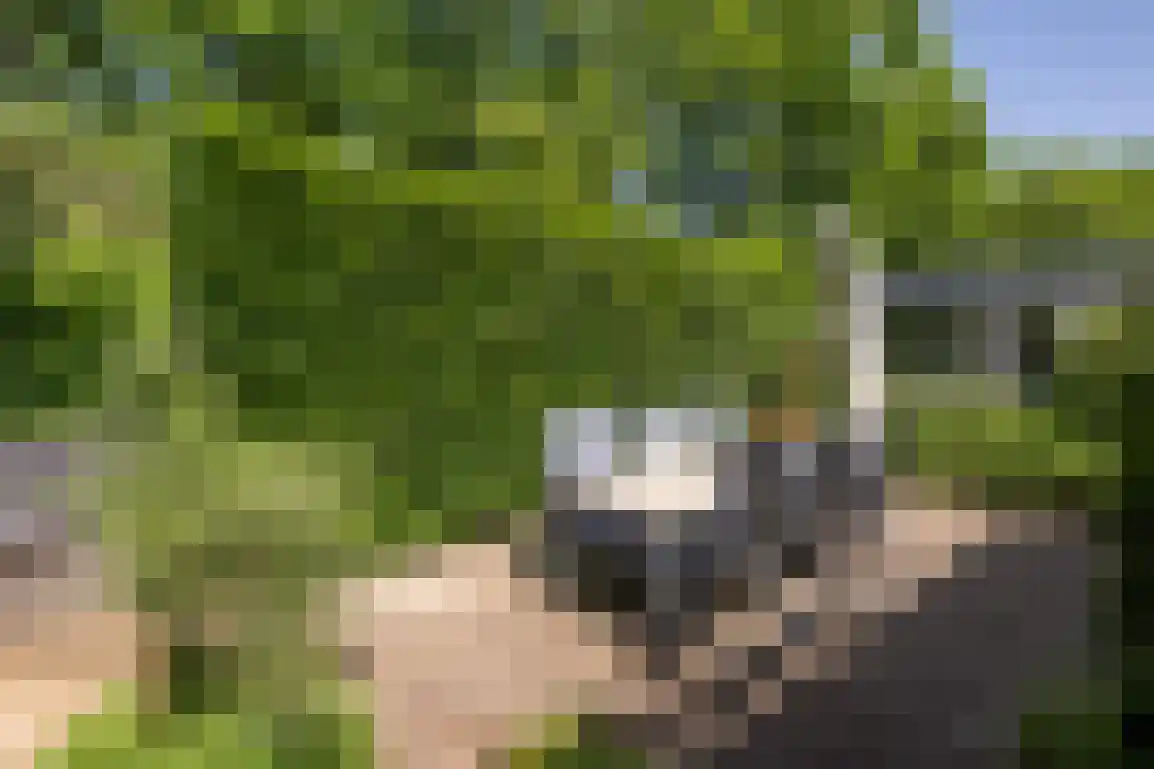 Klepperstee-Berk 16 Ouddorp thumbnail 35