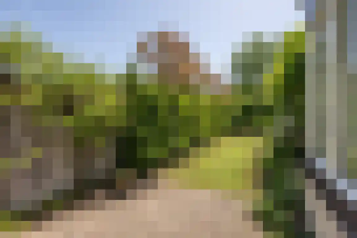 Klepperstee-Berk 16 Ouddorp thumbnail 36