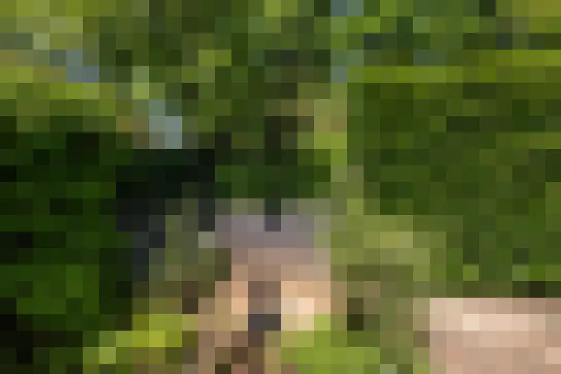 Klepperstee-Berk 16 Ouddorp thumbnail 37