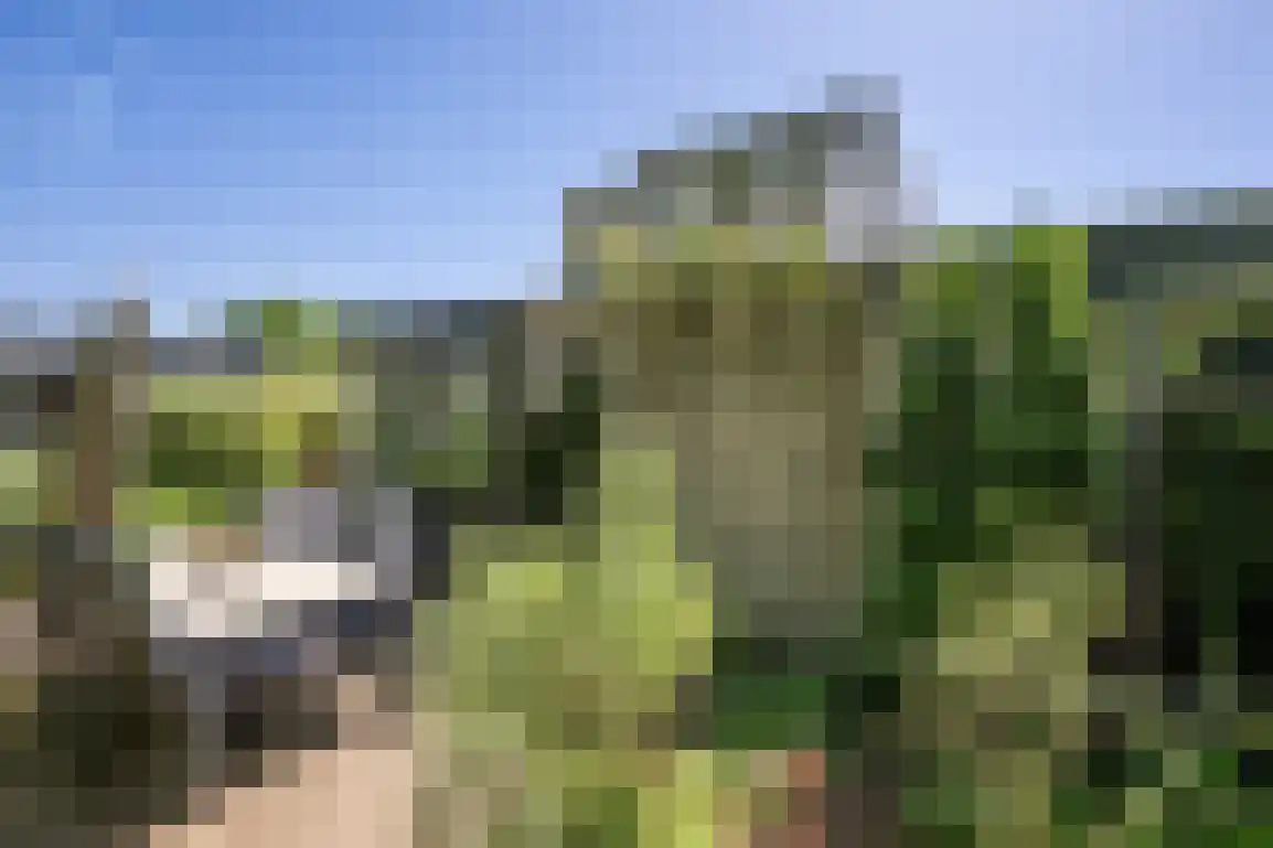 Klepperstee-Berk 16 Ouddorp thumbnail 4
