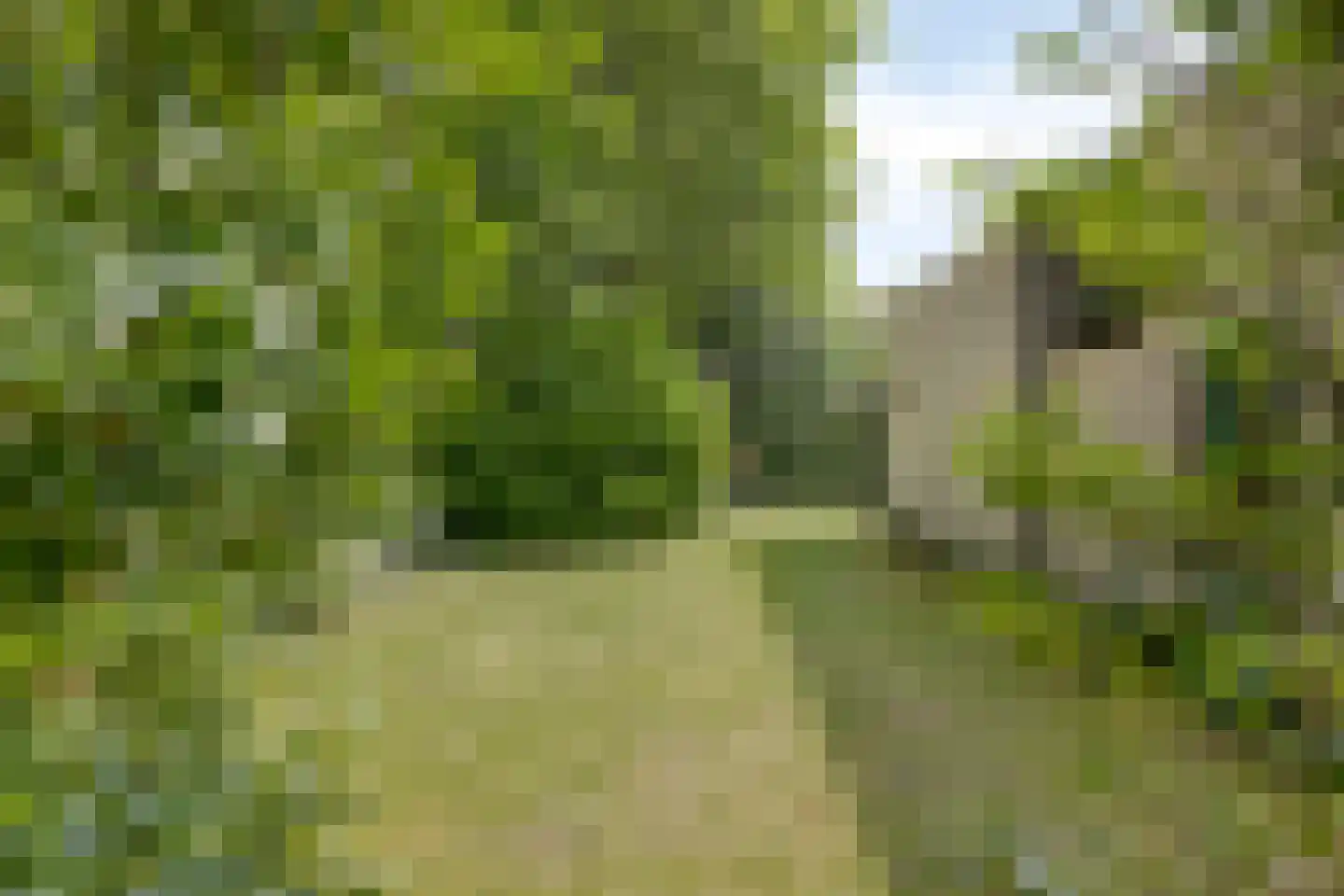 Klepperstee-Eik 1 Ouddorp thumbnail 22