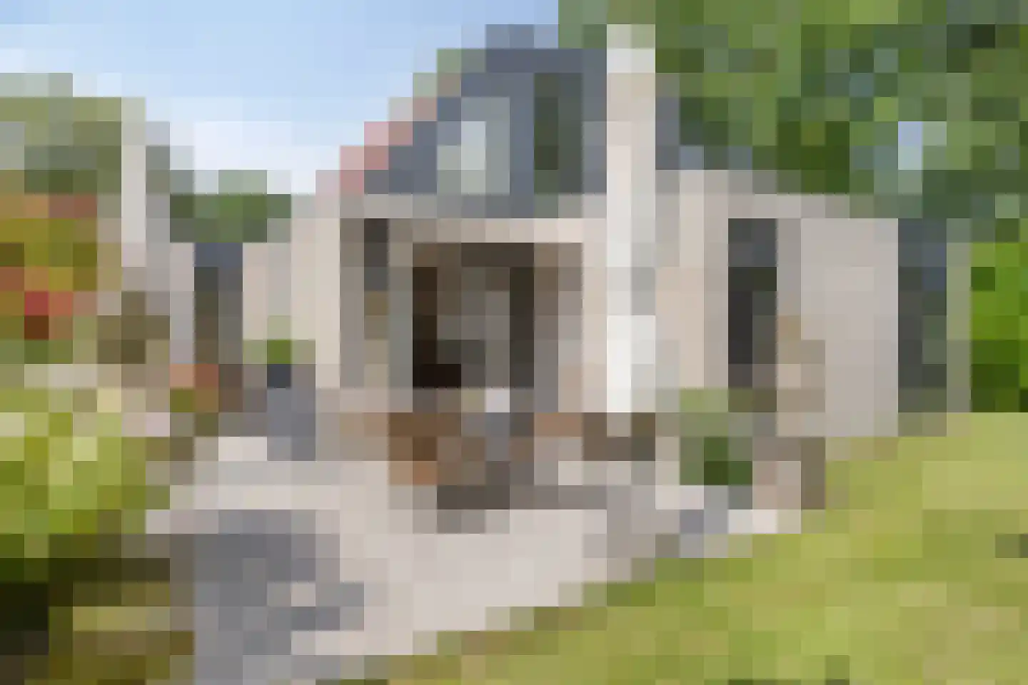 Klepperstee-Eik 1 Ouddorp thumbnail 4