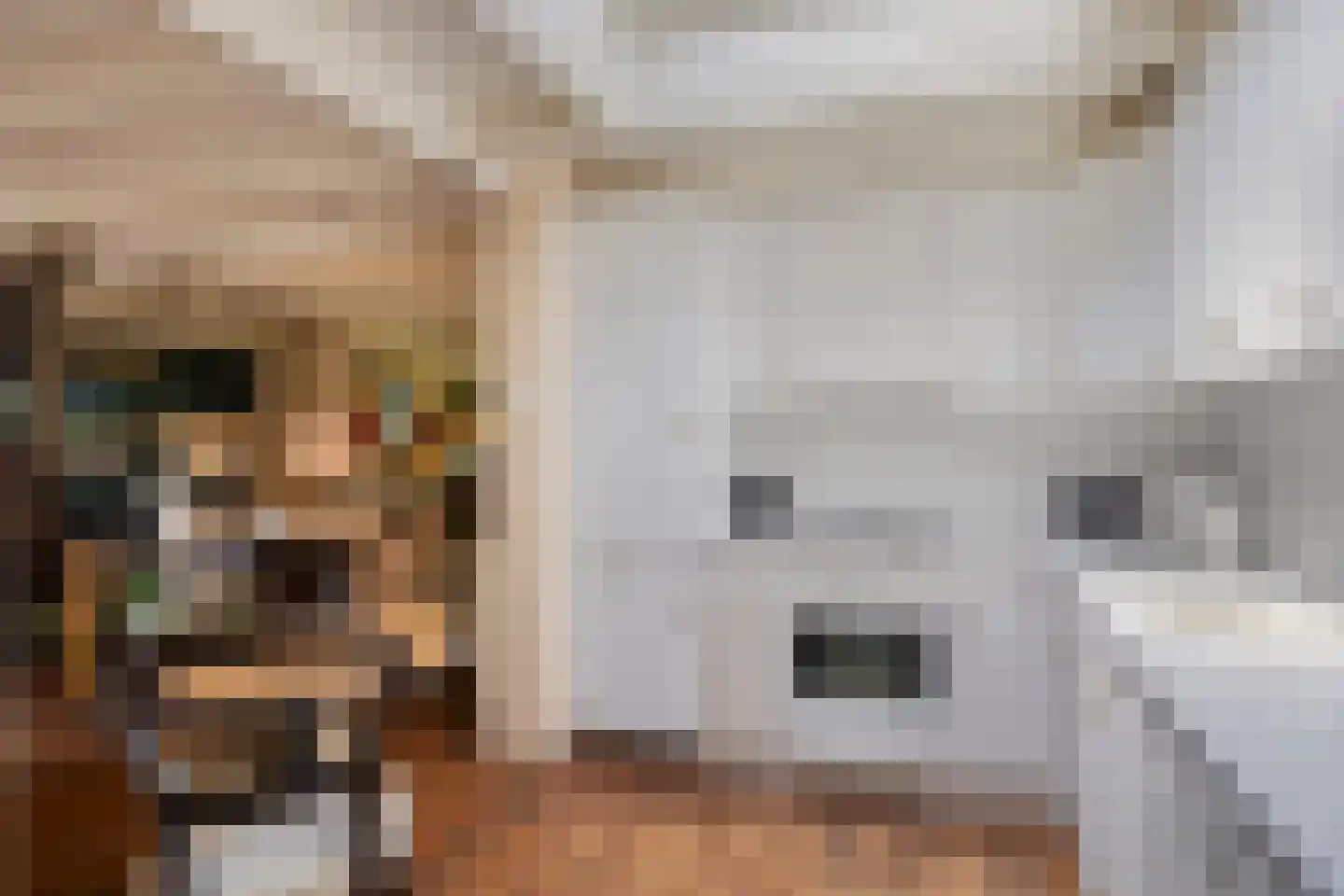 Klepperstee-Eik 1 Ouddorp thumbnail 6