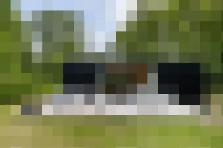 Klepperstee - Grote Stern 21 Ouddorp thumbnail 24